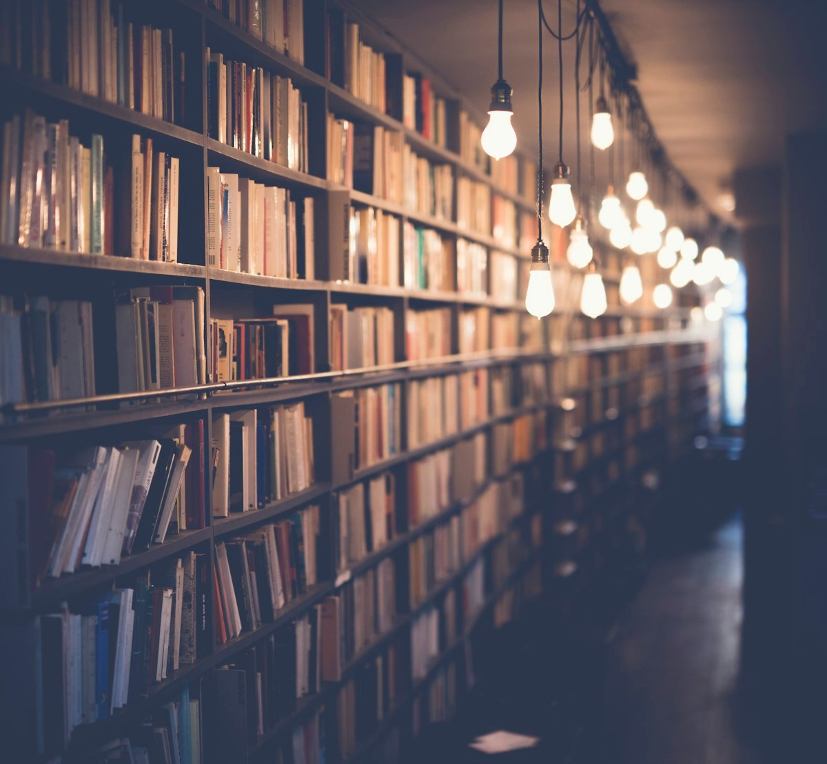 A warmly lit library full of books
